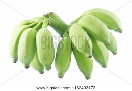 Fruits Bunch of Unripe Green Wild Asian Bananas or Cultivated Bananas Isolated on White Background.