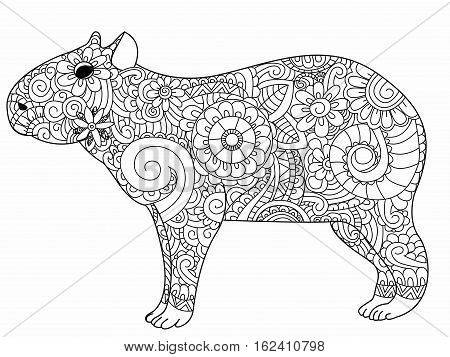 Capybara book for adults vector illustration. Anti-stress coloring for adult herbivorous mammal. Zentangle style. Black and white lines rodent. Lace pattern