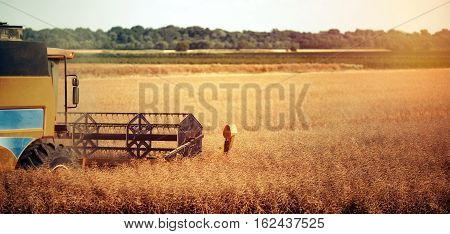 Agricultura machine harvesting crop in fields at summer