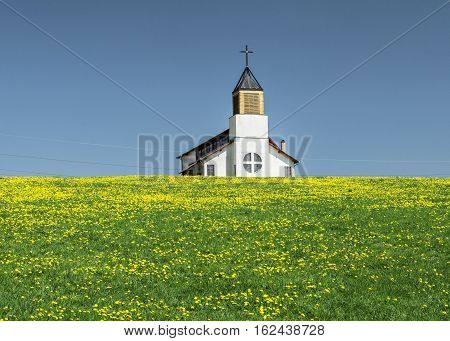 Small rural church in a field with yellow flowers