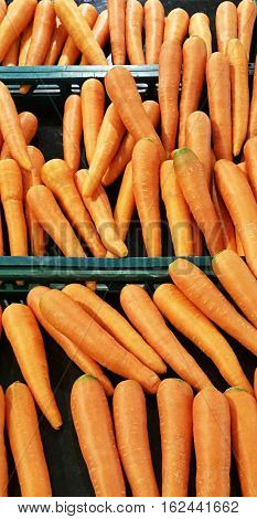 Fresh carrot in the maket, Carrot. Fresh Carrots bunch. Raw fresh organic orange carrots. Healthy vegan vegetable food. Fresh Vegetable.Carrot organic food background.