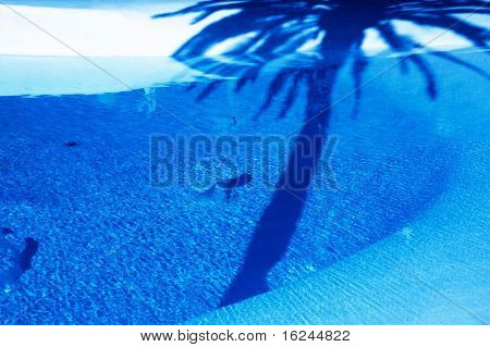 Close up di una piscina in estate