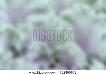 Blue-green And Purple Background.