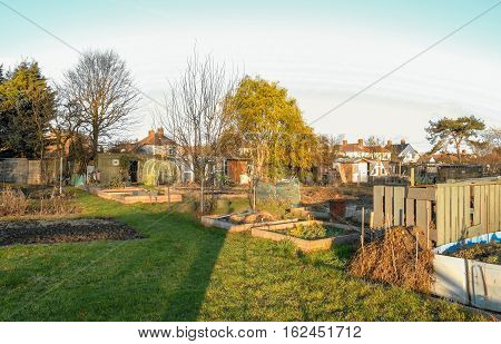 Allotments are small plots of land which are rented and then cultivated with vegetables.