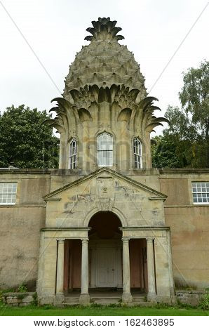 An external view of the Pineapple building