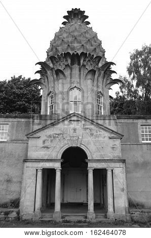 An exterior view of the pineapple building