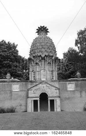 An external view of the pineapple building