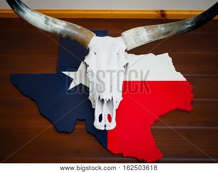 Buffalo skull with longhorn put on Texas map paint with Texas flag all attach or hang on brown wooden wallL CAMERA