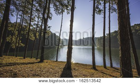 Sunrise at Pang Ung pine forest park, Pang Ung Mae Hong Son, Thailand