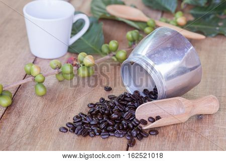 Fresh coffee beans on wood with a moga pot