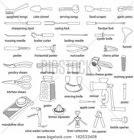 Cooking serve meals and food preparation elements Vector Image