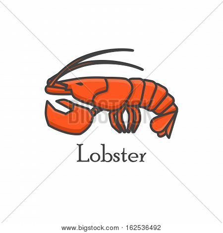 Red lobster logo. Vector line art illustration