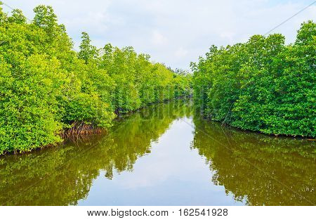 The Green Banks Of Madu River