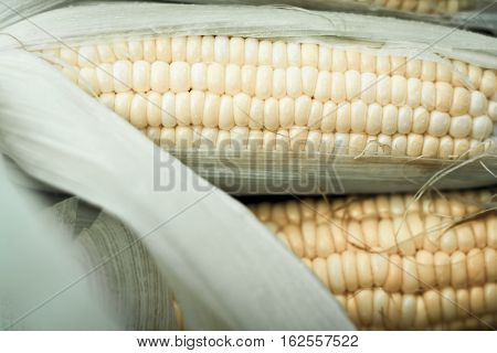Sweet Corn With Yellow And Green Color.