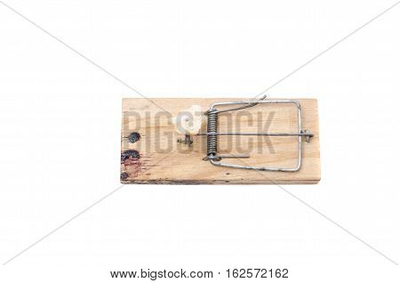 Mousetrap with bait on a white background