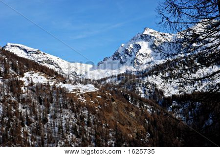 Champoluc bjerge