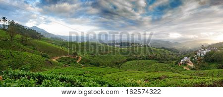 Panoramic view in Munnar in western Ghats Kerala Idukki district India