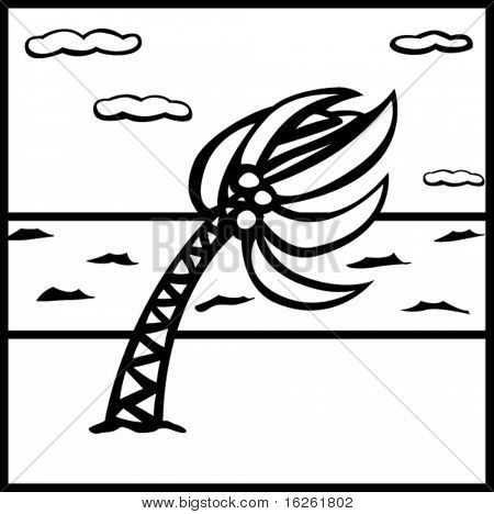 palm tree in a windy beach