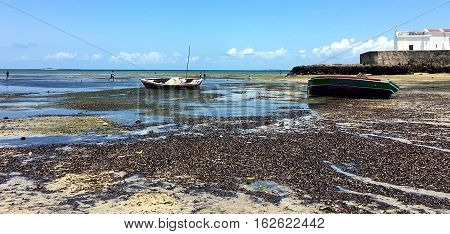 A virgin beach in Mozambique. Crystalline waters. Africa