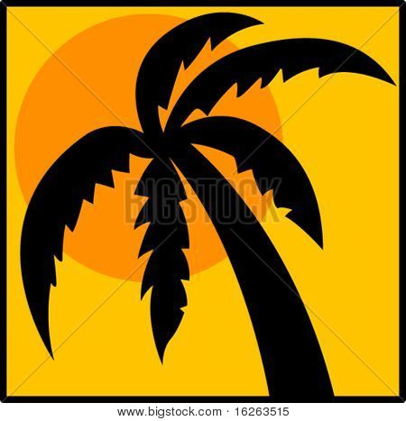 palm tree at sunset