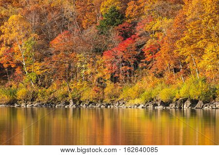 Beautiful autumn scene at Biwa lake on Mt.Shigakogen, Japan.