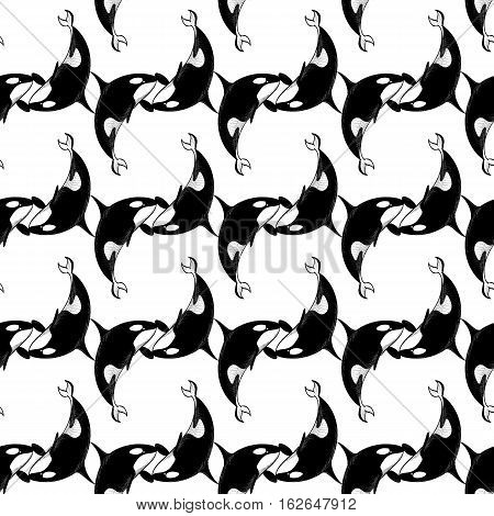 Grampus killer whale seamless pattern in doodle style on white background. Wild ocean animal wallpaper. Chain template. Vector illustration for printing onto fabric.