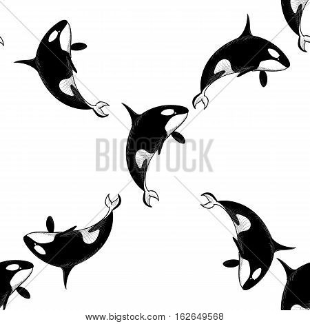 Grampus killer whale seamless pattern in doodle style on white background. Wild ocean animal wallpaper. Vector illustration for printing onto fabric.