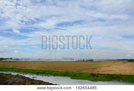 Landscape Of Countryside In Mekong Delta, Vietnam