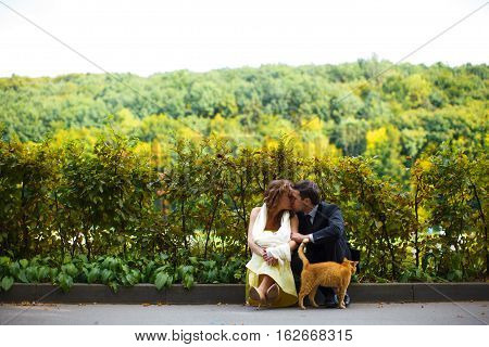 Couple Sit Kissing On The Boarder While A Red Cat Leans To Them