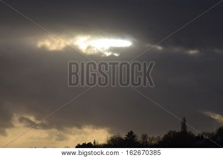 Sunlight Clouds Tree Gray Sky Winter Season