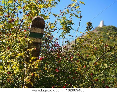 A Tourist Sign Post in Green Bushes