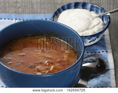 Russian cabbage soup (Shchi) in ceramic bowl