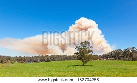 A forest fire near the town of Pemberton in Western Australia.