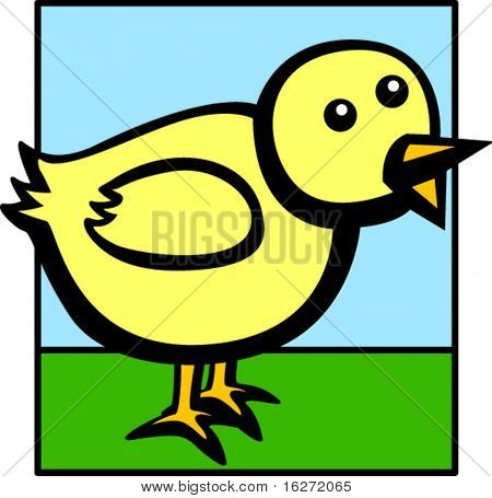 dziecko kurczaka lub pisklę