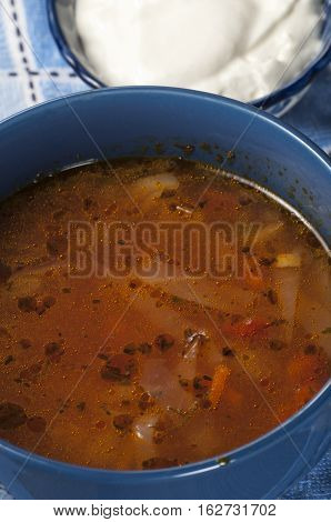 Russian cabbage soup (Shchi) in ceramic bowl