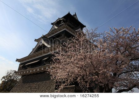 黒の日本の城