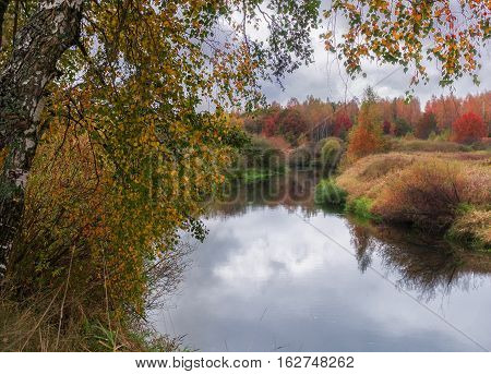 birch on foreground and autumn river on background in cloudy day