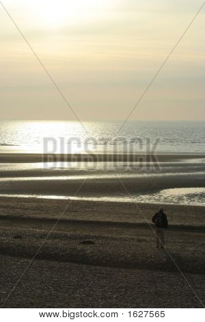 Seepia Sunset