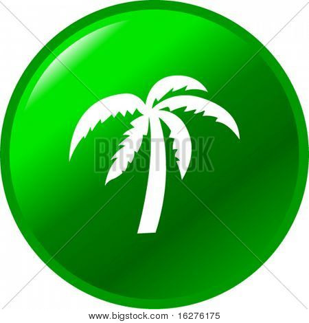 palm tree button