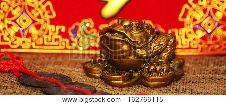 Chinese Feng Shui lucky money frog for good luck and riches