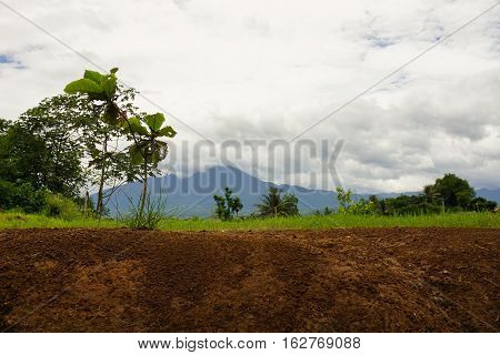 Mountain view from a distance photo taken in Bogor Indonesia java