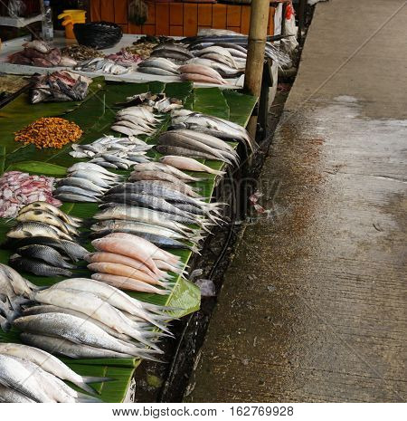 Freshwater fish sells in traditional fish market photo taken in Bogor Indonesia java
