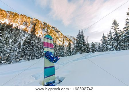 Snowboard Standing In Snow In Mountains On Road Frirayd