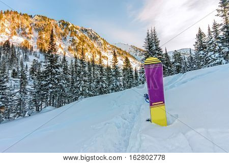 Snowboard Standing In Snow In Mountains On Road Frirayd