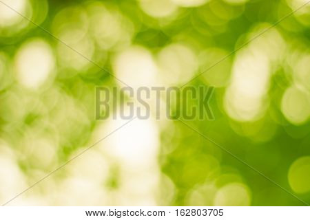 color tone blurred nature background. light and the sky to make it shone through the leaves. Pastel color tones.multicolored white hearts wall paper.vintage natural colorful.sun warm glowball summer. pattern.