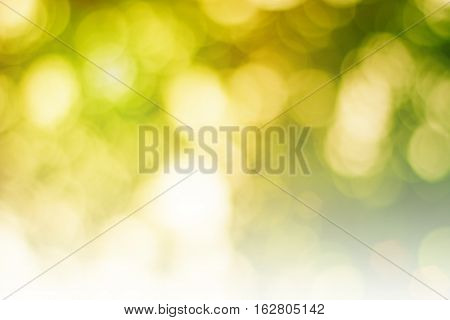color tone blurred nature background. light and the sky to make it shone through the leaves. Pastel color tones.multicolored white hearts wall paper.vintage natural colorful.sun warm glowball summer. pattern.