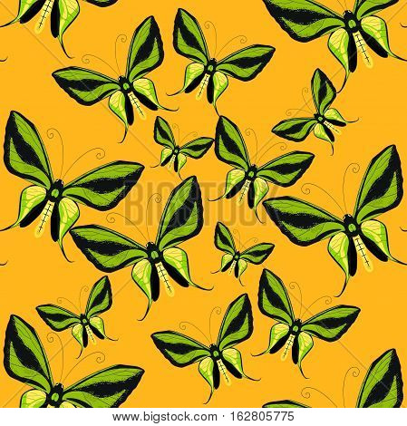 Ornithoptera Paradisea, Butterfly Wings Of A Bird Seamless Pattern Vector Illustration