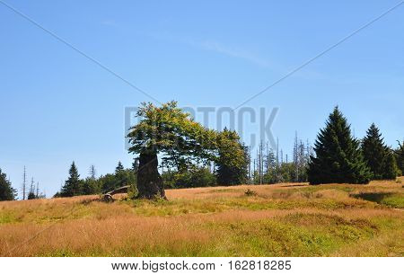 Hochschachten In Bavaria