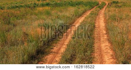 Dirt road in a summer field, in the evening.