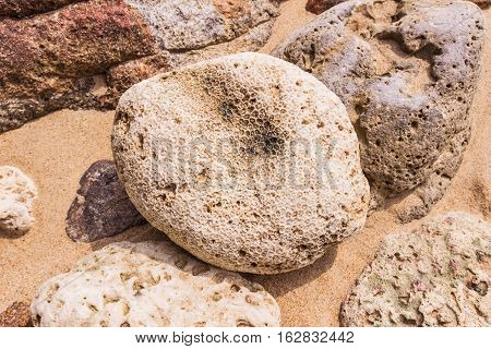 Dead coral flower shape at Kalim bay Phuket Thailand. It can be used for art work